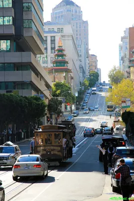 О городе Сан-Франциско, его обитателях и запахах