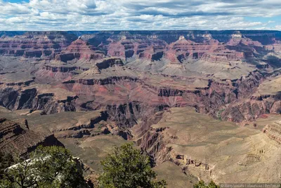 США. Лето в парках. Часть 4. Национальный парк Grand Canyon