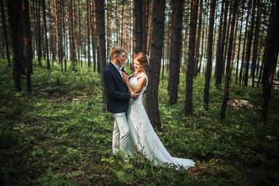 Видеооператор и фотограф на свадьбу | Зелёная Горка