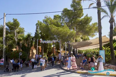 Ibiza Vip Holiday - Ибица - остров счастья. Попадая на этот, один из пяти  Балеарских островов, кусочек счастья у западного побережья Испании, вы  окунаетесь в атмосферу отдыха, релакса и наслаждения. Круглогодичное солнце,