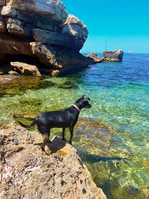 Майорка Испания, красивая гавань Cala Ratjada, маленького города на  побережье Средиземного моря Стоковое Фото - изображение насчитывающей  строя, среднеземноморск: 121269752