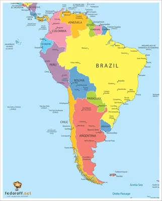 Флора и фауна Южной Америки составляют карту, плоские элементы Животные,  птицы Иллюстрация вектора - иллюстрации насчитывающей ангстрома, нутрия:  103991355