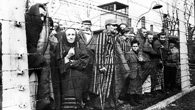 Сколько на самом деле было немецких концлагерей | История с Андреем  Журавлевым | Дзен