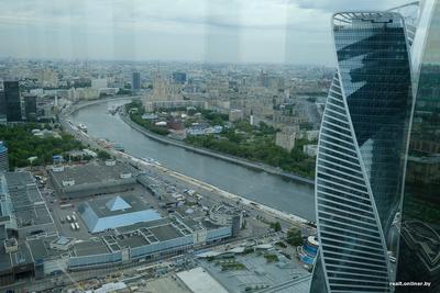 Парень, сорвавшийся с небоскреба \"Москва-сити\", хотел сделать эффектное  селфи - KP.RU