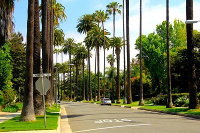 Архитектура Лос-Анджелеса, Калифорнии, США Редакционное Стоковое  Изображение - изображение насчитывающей строя, случаино: 105828149