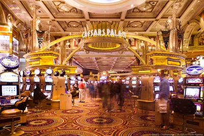 В Лас-Вегасе посетитель казино сорвал рекордный джекпот в канун Рождества -  ForumDaily
