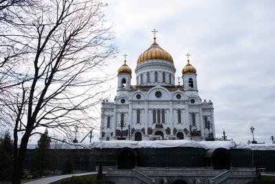 Храм Христа Спасителя - Москва 2024