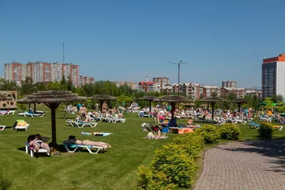 Как выглядит парк «Прищепка» в Красноярске летом 2022 года: публикуем фото  и видео - KP.RU