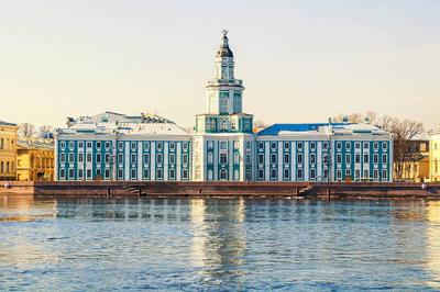 Кунсткамера Санкт-Петербург - экскурсия 2024 с экскурсоводом цены,  расписание, официально на сайте