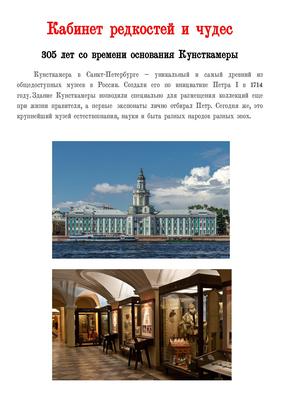 Кунсткамера в Санкт-Петербурге - расписание, часы работы, цена билетов,  фото и адрес музея