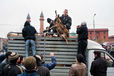 В Москве мусульмане отметили Курбан-байрам: фотогалерея