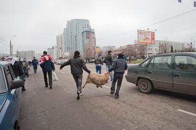 В Москве в день Курбан-байрама перекроют ряд улиц - 05.09.2016, Sputnik  Таджикистан