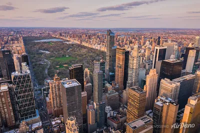 Нью-Йорк уса 16 2019 : оживленная улица в Нью-Йорке Редакционное  Изображение - изображение насчитывающей зодчества, мстителей: 255898795