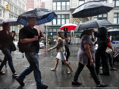 В Нью-Йорке могут сделать часть улиц пешеходными — чтобы люди могли  соблюдать дистанцию во время прогулок