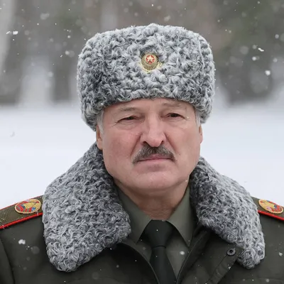 Портрет Лукашенко в рамке 30х40 см / картина, постер, плакат Александр  Лукашенко - купить по низкой цене в интернет-магазине OZON (838764936)