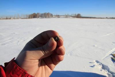 Случайность подарила нам жизнь или сколько стоит Челябинский метеорит?