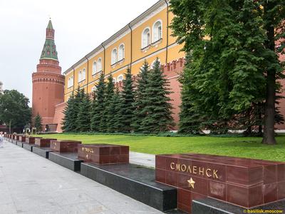 Возложение цветов к Могиле Неизвестного Солдата • Президент России