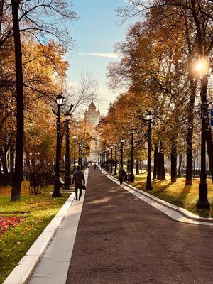 Картина Картина маслом \"Осень в городе. Вид на Москва-Сити с набережной\"  50x60 AR201206 купить в Москве