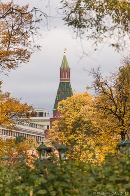 Осень в городе Москва» — создано в Шедевруме