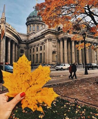 Золотая осень: красивые места для поездки на выходные недалеко от Москвы –  The City