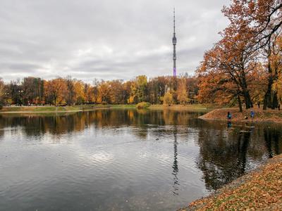 Осенние фотосессии в парках Москвы