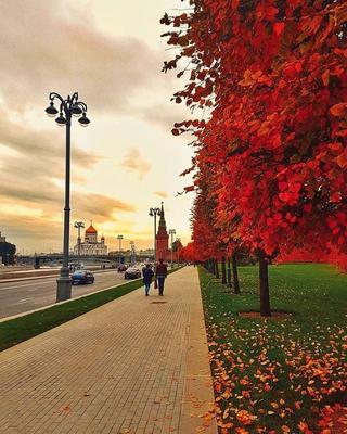 Москва, осень | Городские улицы, Фотографии, Город