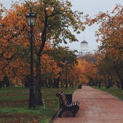 Набережная Москвы , осень, совр. …» — создано в Шедевруме