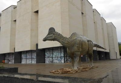 Власти решили закрыть на карантин все музеи Москвы — РБК