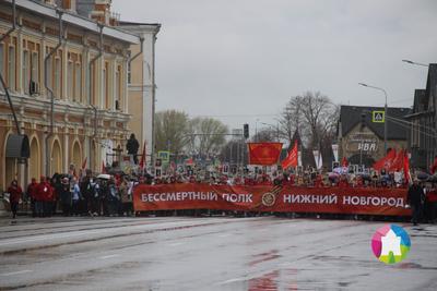 Более 100 тысяч жителей Нижегородской области прошли в колоннах  \"Бессмертного полка\" 9 мая Новости Нижнего Новгорода