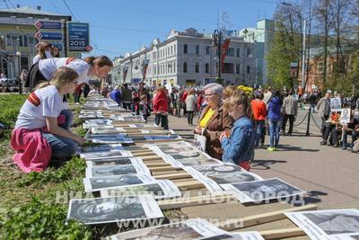 Более 30 тыс. человек собрал «Бессмертный полк» в Нижнем Новгороде | ИА  Красная Весна