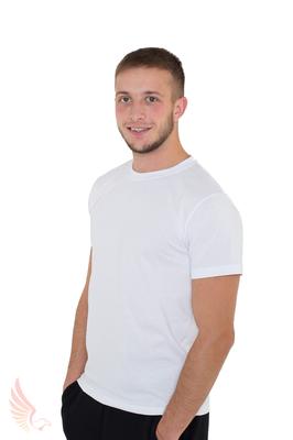 Мужская футболка с принтом купить в Новосибирске