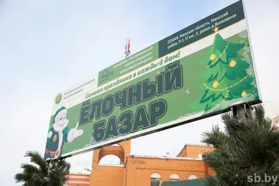 Интересно: где расположены главные новогодние локации Минска - Белорусский  профессиональный союз работников леса и природопользования