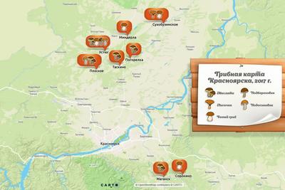 Интерактивная карта Мир Политический 1:55М 59х40см купить в Красноярске -  интернет магазин Rich Family