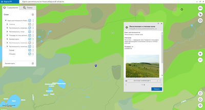 Получить займ на карту в Новосибирске — онлайн-микрозаймы