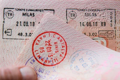 Сколько делается шенгенская виза в 2024 году