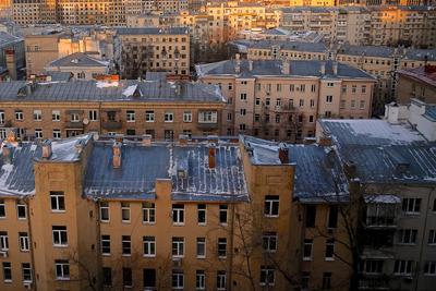 Сады на крыше: где искать городской оазис в Сингапуре и Москве | РБК Стиль