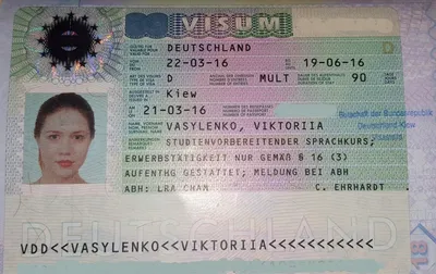 Как заполнить анкету на национальную визу? - surfin-birds.ru