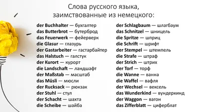 Knigi-janzen.de - Экономика, предприятия и банки Германии. Учебное пособие  на немецком языке. | Колесников А. | 5-94962-021-6 | Купить русские книги в  интернет-магазине.