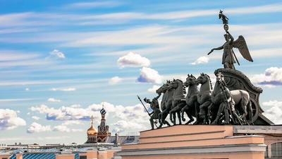 Конь с ногой человека, Животные, Памятники, Санкт-Петербург