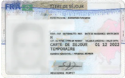 Гражданство Франции по натурализации: как пройти процедуру и получить  паспорт с первого раза