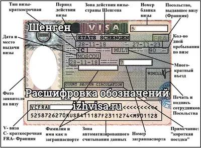 Расшифровка шенгенская виза - обозначения, отметки, срок, что значит в  Ижевске