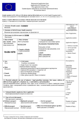 Как заполнить анкету на визу в Италию? | ProVisy.ru