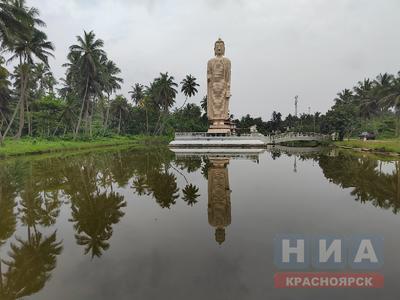 В шести странах для россиян могут упростить получение визы