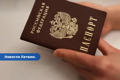 Латвия частично возобновит прием заявлений на визы от россиян - РИА  Новости, 03.07.2023