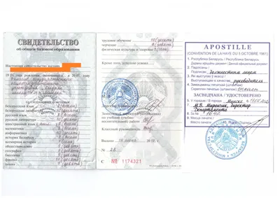 В визовых центрах Минска, Гомеля и Могилева приостановили прием документов  на польскую гуманитарную визу - belsat.eu