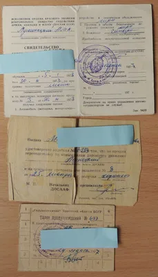 Как получить визу в Беларуси. Истории читателей