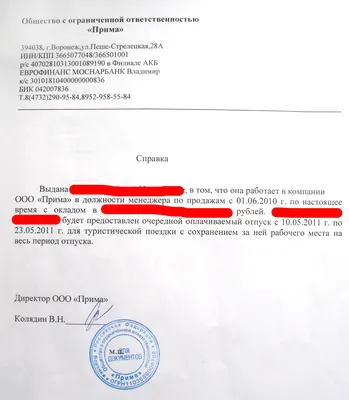 Анкета на визу в Испанию: образец заполнения в 2024 году, как заполнить,  бланк