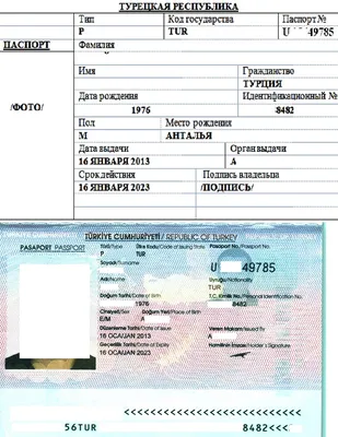 Сопровождение на визу в городах Татарстана – Главный визовый центр Казани |  Спутник