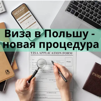 ИНТЕРВЬЮ| Замминистра Украины о восстановлении страны: «Помощь ООН –  бесценна» | Новости ООН