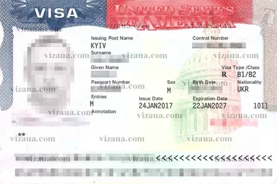Туристическая виза в США 2024 инструкция по получению | Визовое агентство  Виза ин ЮА